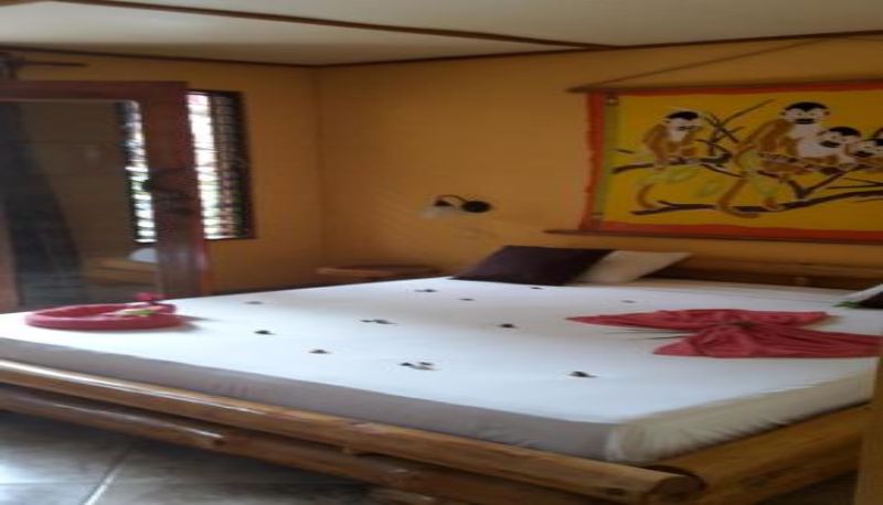 Info - Samara Palm Lodge