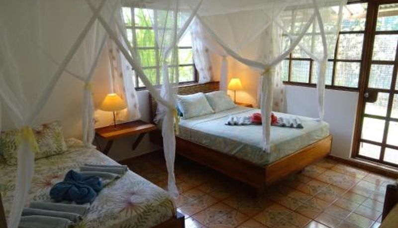 客室 - Hotel Pura Vida