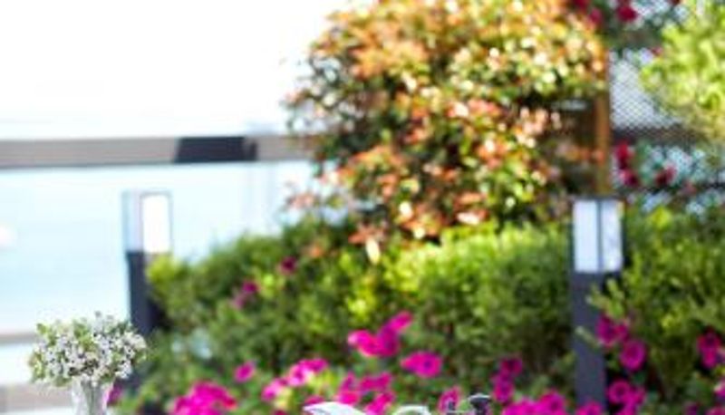 Info - Busan Beach Hotel Busan Songdo