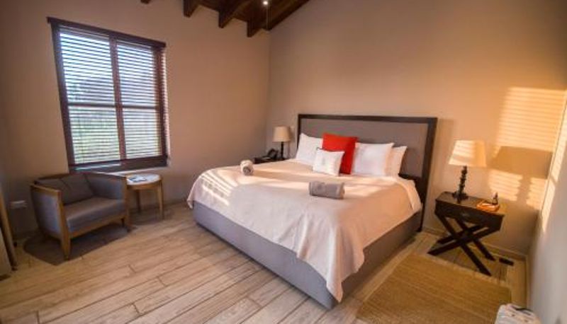 Suite - Viñedos San Lucas