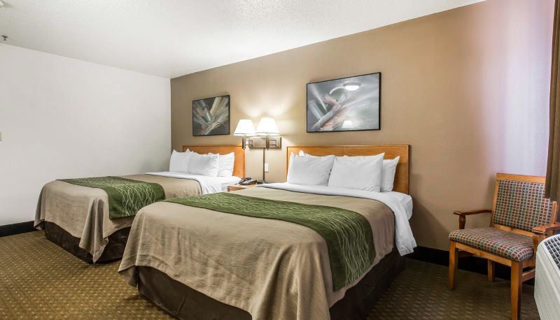 Zimmer - Bearcat Inn and Suites by Gree