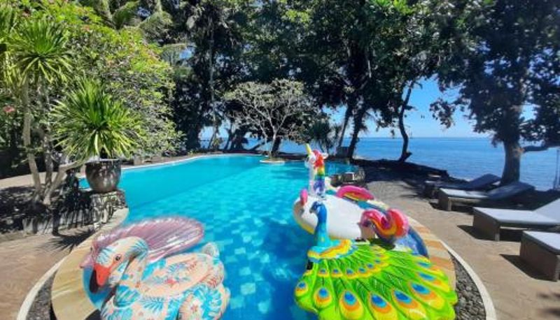 Piscina - Murex Dive Resort