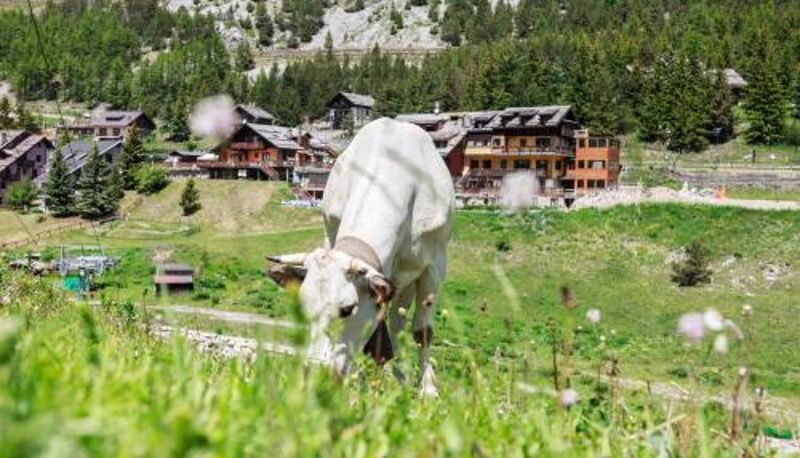 Info - Hotel Al Foiron
