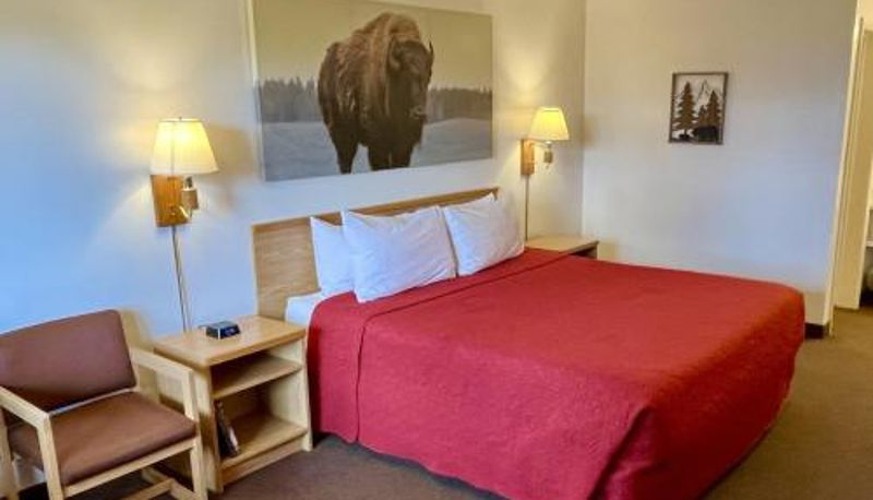 Standardzimmer - Red Bear Inn