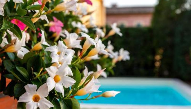 Informacje - Albergo Ristorante Il Terziere