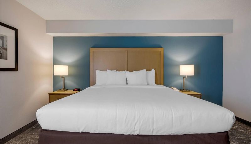Zimmer - COMFORT INN AND SUITES ALEXANDRIA