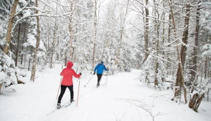 Info - Lake Placid Inn: Residences
