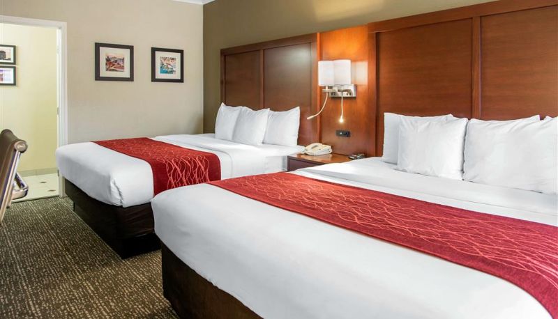 Pokój - Comfort Inn & Suites San Francisco Airport North