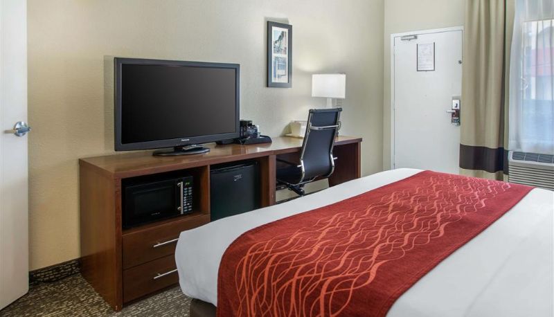 Pokój - Comfort Inn & Suites San Francisco Airport North