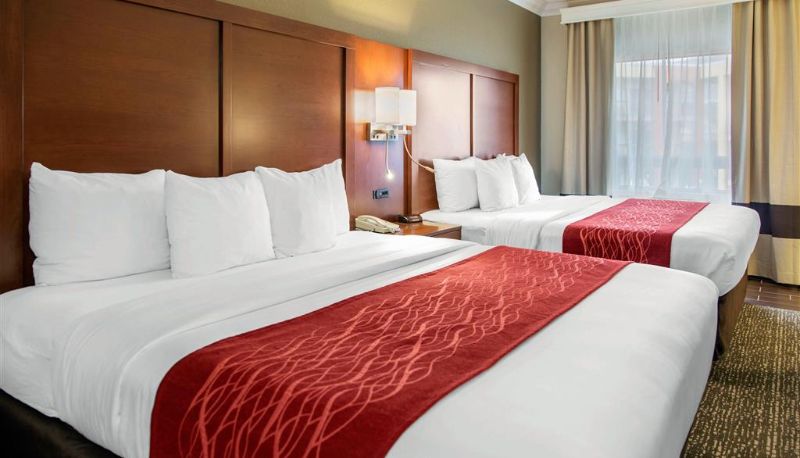 Pokój - Comfort Inn & Suites San Francisco Airport North