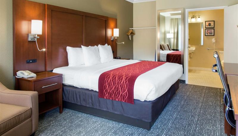 Pokój - Comfort Inn & Suites San Francisco Airport North