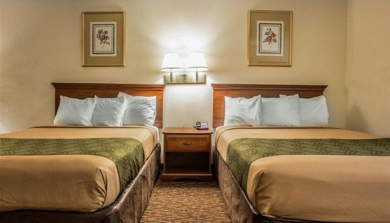 Chambre - Econo Lodge Inn & Suites Lugoff