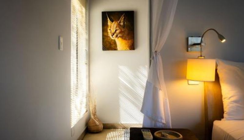 Chambre - Rafiki Bush Lodge