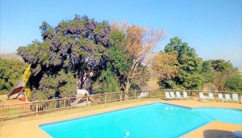 Piscina - Sandford Park Country Hotel