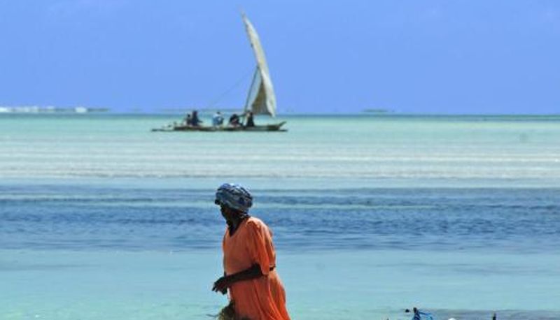 Bilgi - Pongwe Bay Resort