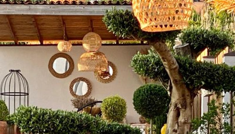 Bilgi - Casa de oro Alma
