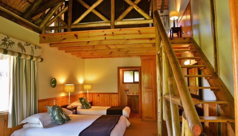 Zimmer - ANEW Resort Ingeli Forest Koks