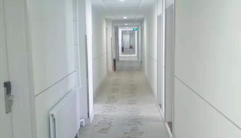Area esterna dell'hotel - Yilai Liaocheng Dongchanghu Hotel