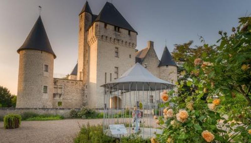 Area esterna dell'hotel - Hôtel du Château du Rivau