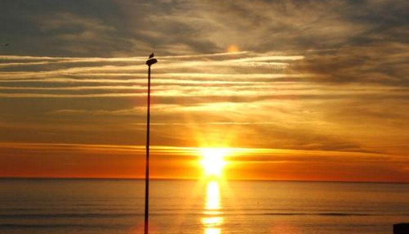 Info - Hotel de la Plage - Barcares