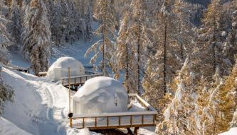 Info - Alpin D'Hôme Hôtel & Spa