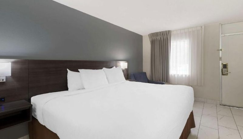 Apartment - Downtown Inn & Studio Suites