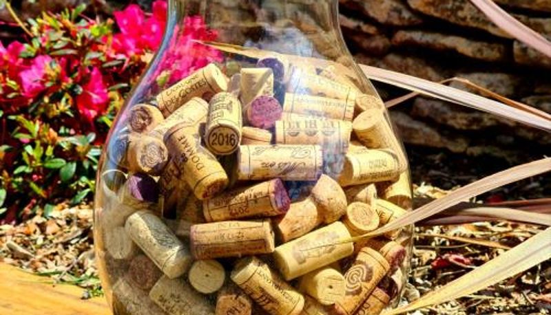 Informação - Domaine de La Rhonie