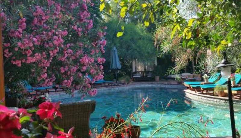 Havuz - El Vino Hotel & Suites