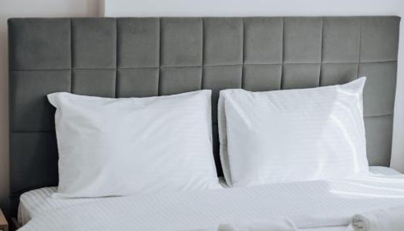 Bilgi - MOF Comfort Edirne
