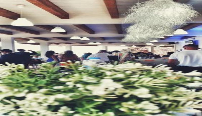 Bar - Hotel Summer Dream