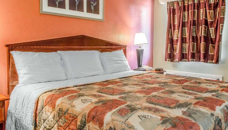 Room - Rodeway Inn Allentown South