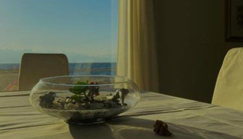 Bilgi - Hotel La Lampara