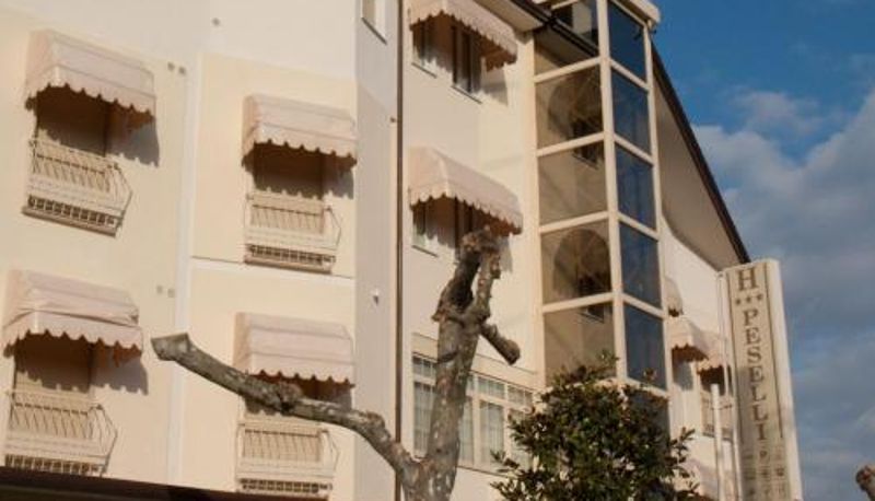 Zona exterior del hotel - Hotel Peselli