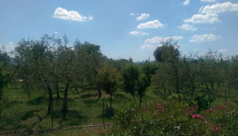 Información - Villa Monnalisa