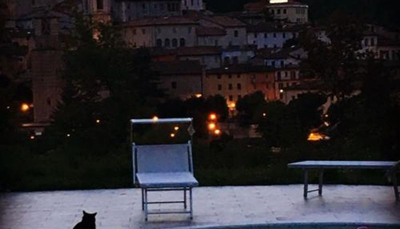 Pool - Hotel Villa Stella