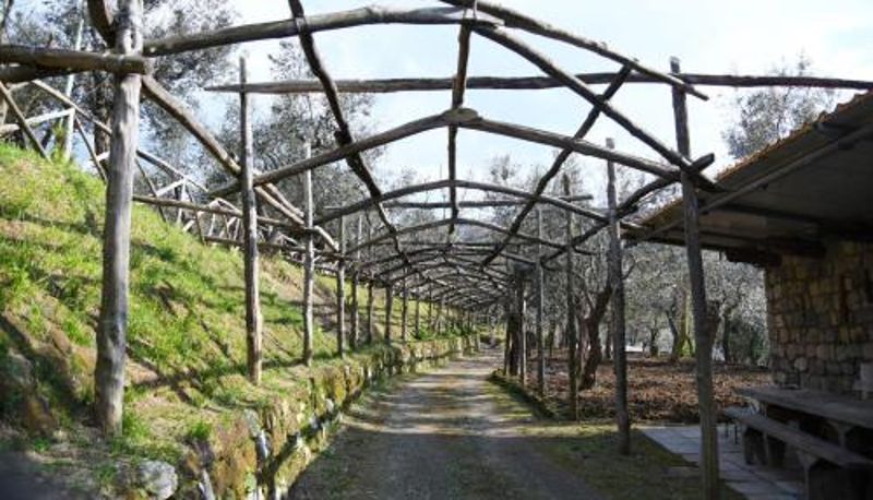 Info - Casale del Nonno