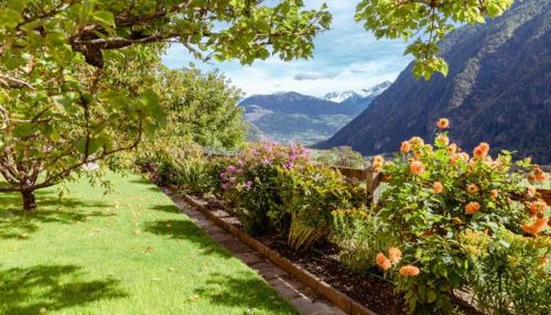 Info - Hotel Chavalatsch