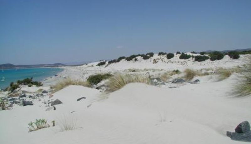 Plaża - Aquamarina Pavoncella Rossa & SPA