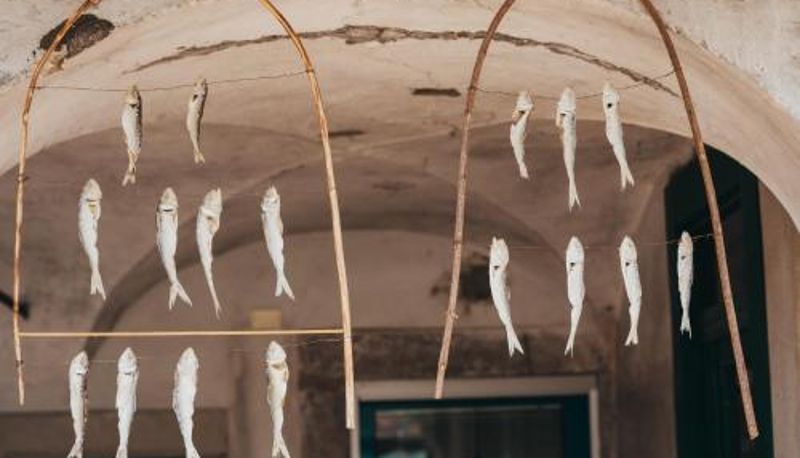 Info - Sensole locanda contemporanea