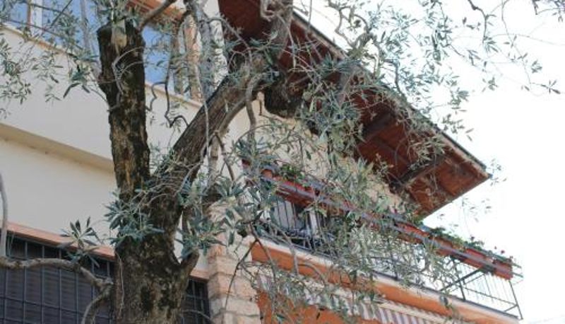 Area esterna dell'hotel - Casa Ines Fronte Lago