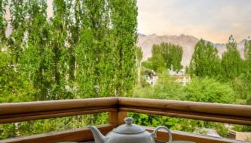Terrace - Hotel Gyalpo Residency - A Mountain View Luxury Hotel in Leh
