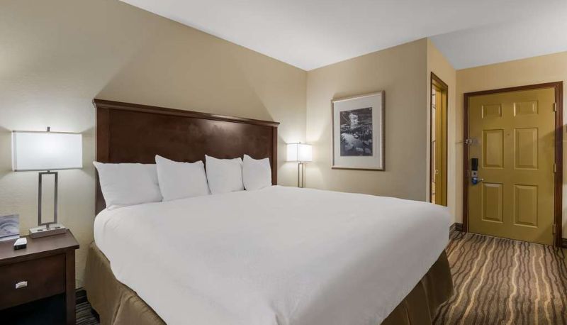 Zimmer - Best Western Cottage Grove Inn