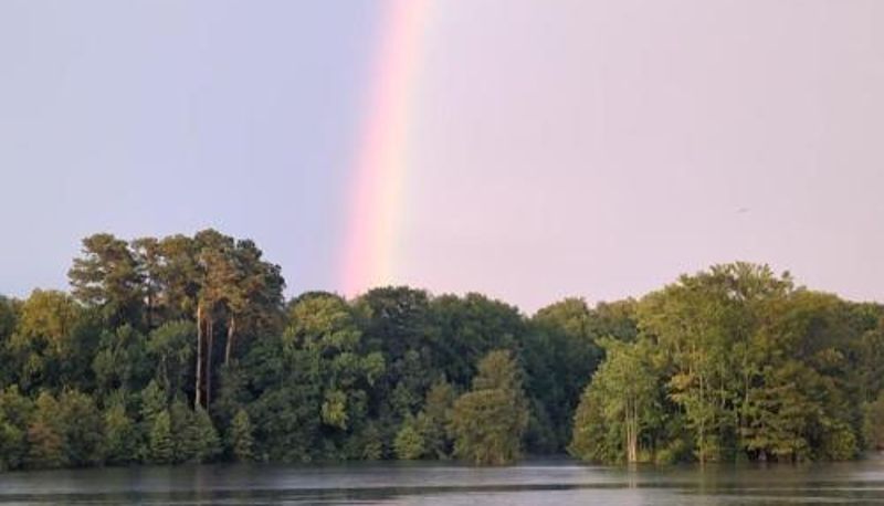 Informação - Pets on Request! Bells Marina & Fishing Resort - Santee Lake Marion by I95 - Family Adventure