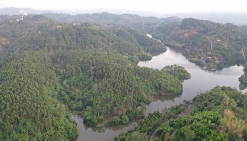 Bilgi - The Lake View Munnar