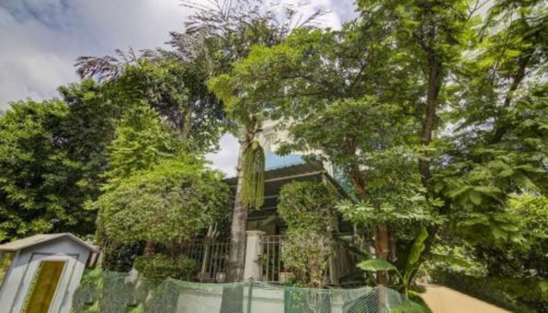Info - Treebo Mall View Dlf Phase 2 near MG metro station