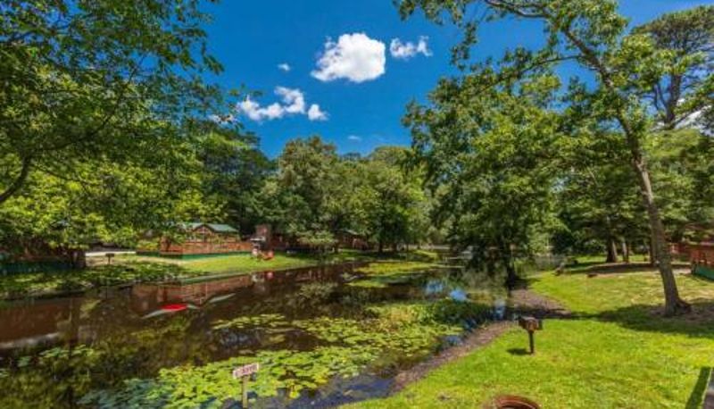 Area esterna dell'hotel - Pine Haven