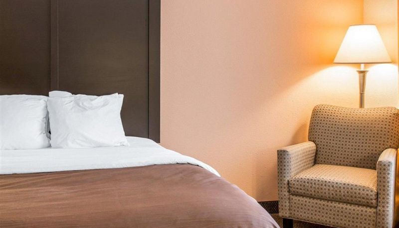Zimmer - Quality Inn & Suites Niles