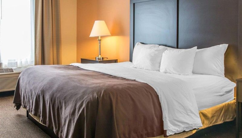 Zimmer - Quality Inn & Suites Niles