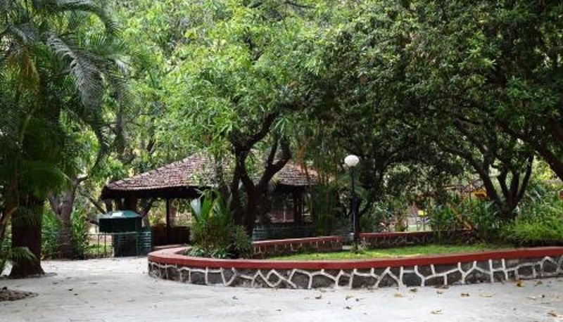 Vista - Pinewood Resort