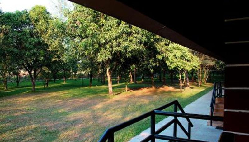 Info - Pinewood Resort